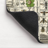 Entomologie Muismat (Hoek)