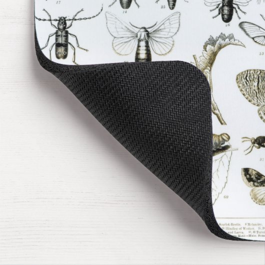 Entomologie Muismat (Hoek)