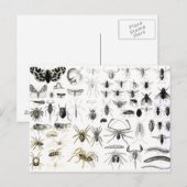 Entomologie, Myriapoda en Arachnida Briefkaart (Voorkant / Achterkant)