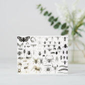 Entomologie, Myriapoda en Arachnida Briefkaart (Staand voorkant)