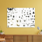 Entomologie, Myriapoda en Arachnida Canvas Afdruk (Insitu (Woonkamer))