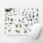 Entomologie, Myriapoda en Arachnida Muismat (Met muis)