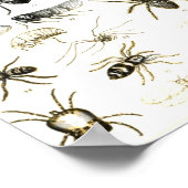 Entomologie, Myriapoda en Arachnida Poster (Hoek)