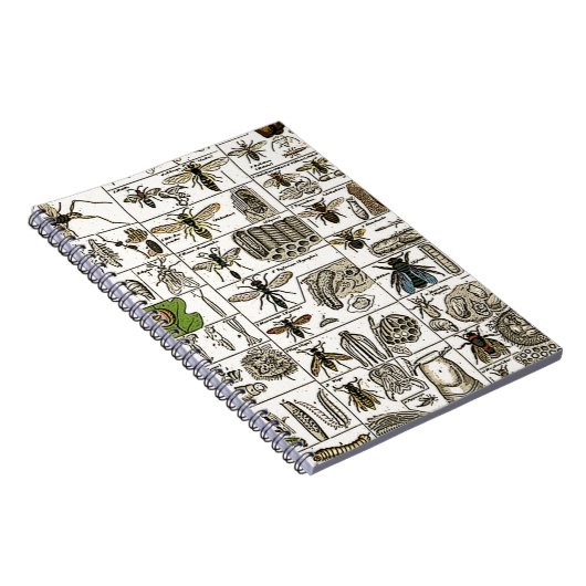  Entomologie Notitieboek (Rechterzijde)