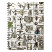  Entomologie Notitieboek (Voorkant)