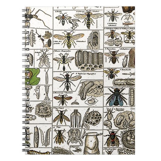  Entomologie Notitieboek (Voorkant)