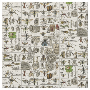  Entomologie Stof