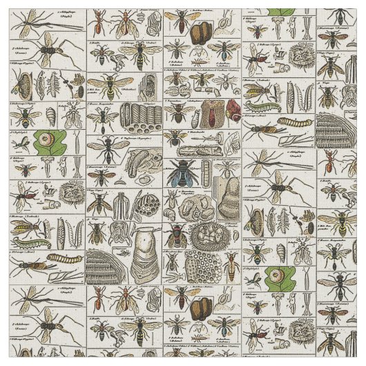  Entomologie Stof (Close Up)