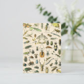 Entomologie van Insect en Bugs Chart Briefkaart (Staand voorkant)