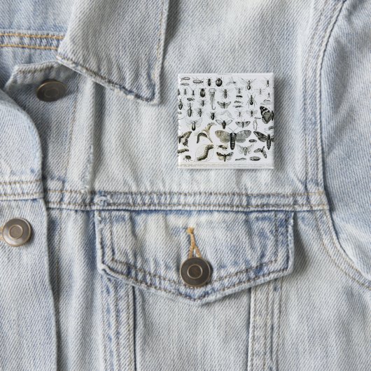 Entomologie Vierkante Button 5,1 Cm (In situ)