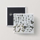 Entomologie Vierkante Button 5,1 Cm (Voorkant /achterkant)