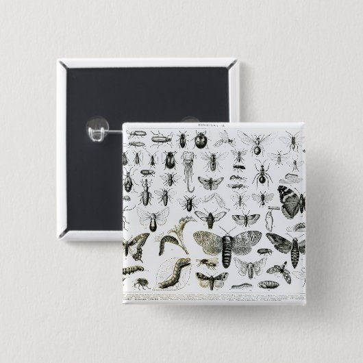 Entomologie Vierkante Button 5,1 Cm (Voorkant /achterkant)