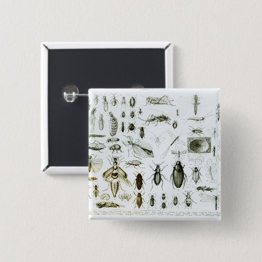 Entomologie Vierkante Button 5,1 Cm (Voorkant /achterkant)