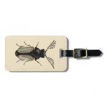 Entomologiekunst van wolkeverinsecten