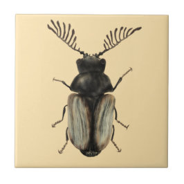 Entomologiekunst van wolkeverinsecten tegeltje