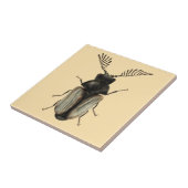 Entomologiekunst van wolkeverinsecten tegeltje (Zijkant)