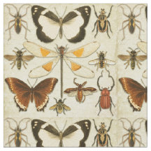 Entomologische vlinder snijdt  oud papier in