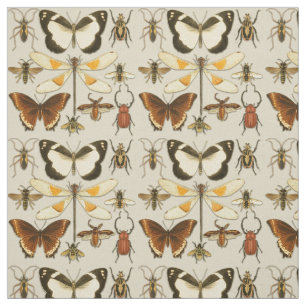 Entomology Butterfly snijdt illustraties in Stof