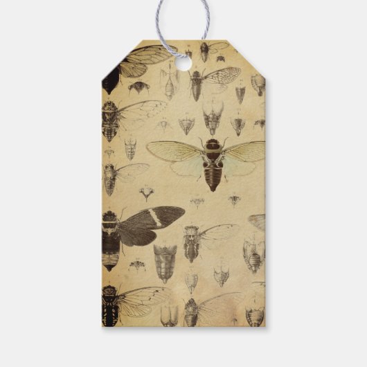 Entomology Journaling Label Cadeaulabel (Voorkant)