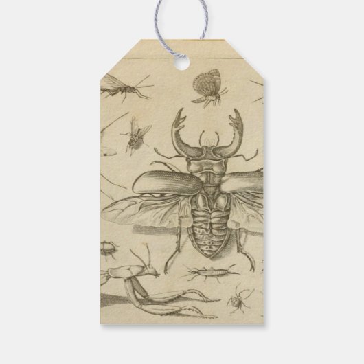 Entomology Journaling Label Cadeaulabel (Achterkant)