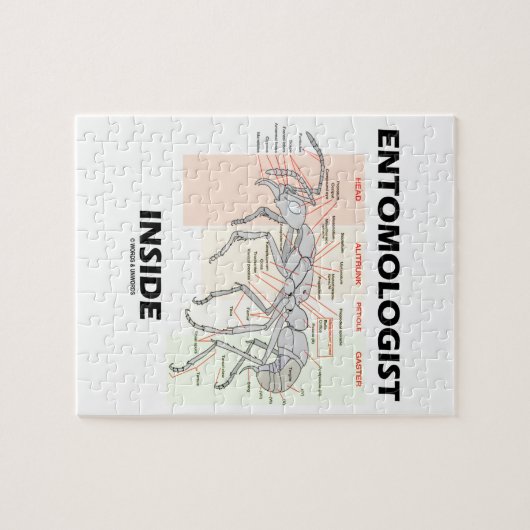 Entomoloog Inside (anatomie werper) Legpuzzel (Horizontaal)