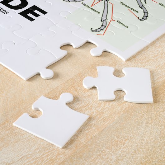 Entomoloog Inside (anatomie werper) Legpuzzel (Zijkant)