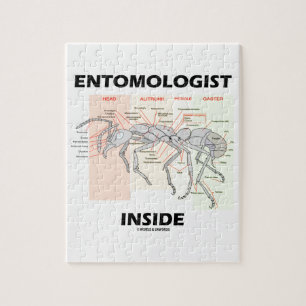 Entomoloog Inside (anatomie werper) Legpuzzel