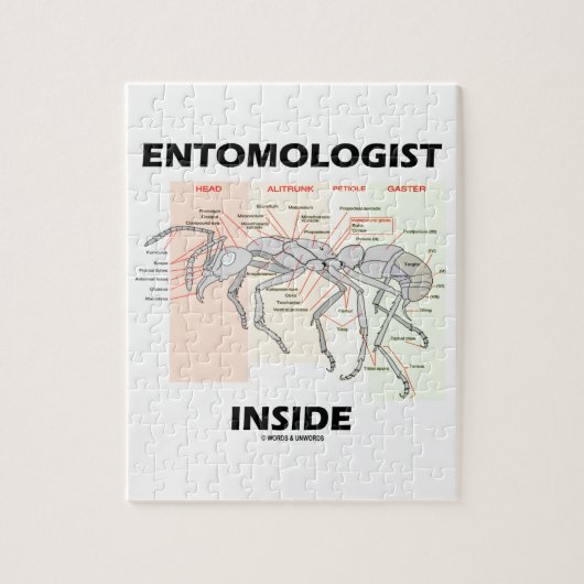 Entomoloog Inside (anatomie werper) Legpuzzel (Verticaal)