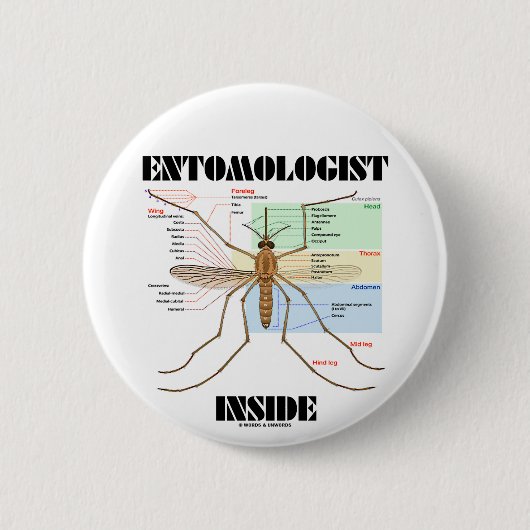 Entomoloog Inside (muggenanatomie) Ronde Button 5,7 Cm (Voorkant)