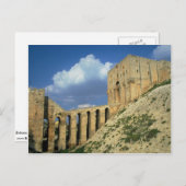 Entrance bridge and moat, The Citadel, Aleppo, Syr Briefkaart (Voorkant / Achterkant)
