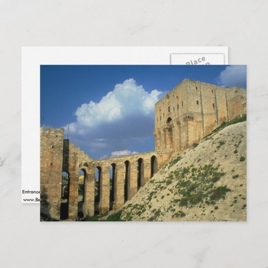 Entrance bridge and moat, The Citadel, Aleppo, Syr Briefkaart (Voorkant / Achterkant)