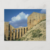 Entrance bridge and moat, The Citadel, Aleppo, Syr Briefkaart (Voorkant)