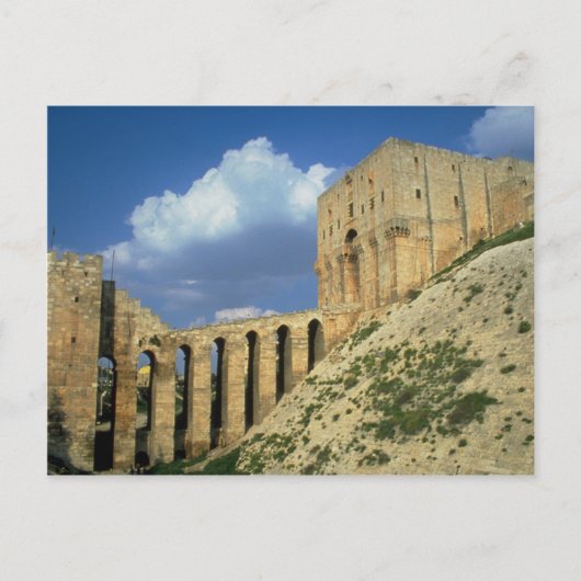 Entrance bridge and moat, The Citadel, Aleppo, Syr Briefkaart (Voorkant)