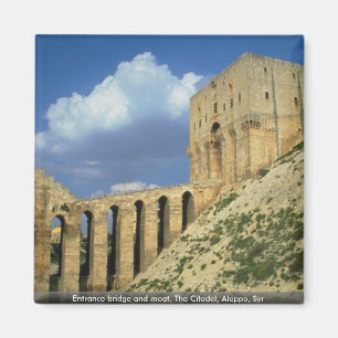 Entrance bridge and moat, The Citadel, Aleppo, Syr Magneet