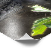 Entrance Cascade, Watkins Glen, New York. Foto Afdruk (Hoek)