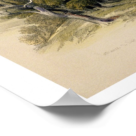 Entrance to Nablous, 17 april 1839, bord 41 van Poster (Hoek)