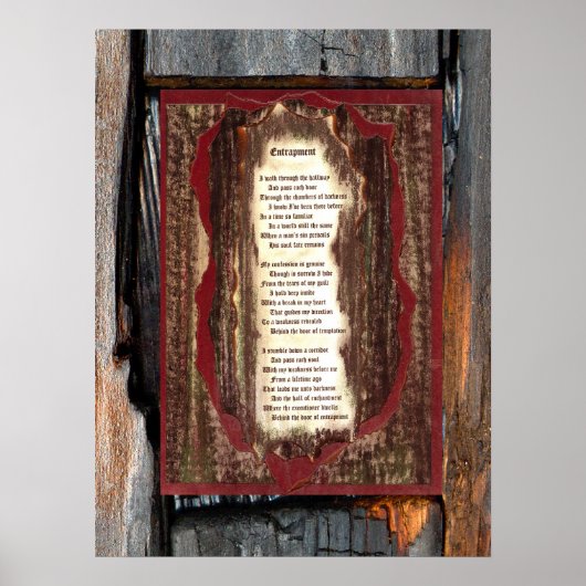 Entrapment Poster (Voorkant)