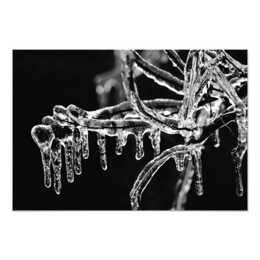 entred ijzige winter foto afdruk (Voorkant)