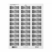 Entrence Entreatment Ticket Show Silver Grey Etiket (Full Sheet)