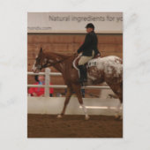 Entry Number 616 Horse Show Briefkaart (Voorkant)