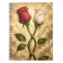 Entwined red and white roses.