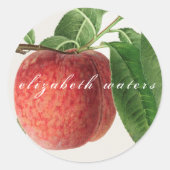  ENVELOPE SEAL " PEACH" RONDE STICKER (Voorkant)
