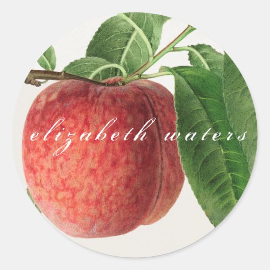  ENVELOPE SEAL " PEACH" RONDE STICKER (Voorkant)