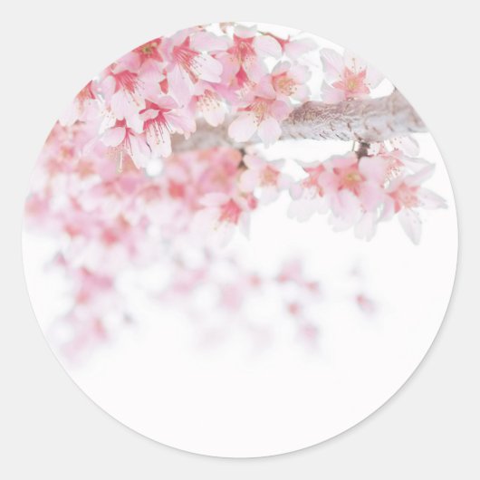 ENVELOPE SEAL STICKER : CHERRY BLOSSOM (Voorkant)