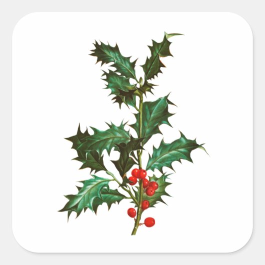 ENVELOPE SEAL STICKER : VINTAGE CHRISTMAS HOLLY (Voorkant)