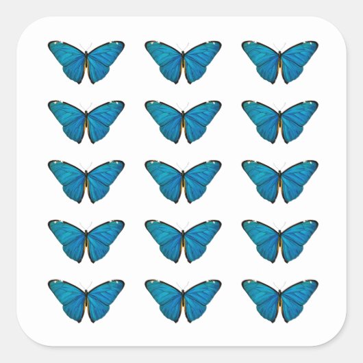 ENVELOPE SLUITSTICKER : BLAUWE VLINDER VIERKANTE STICKER (Voorkant)