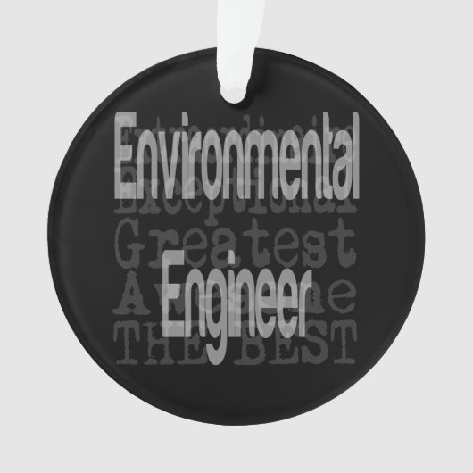 Environmental Engineer Extraordinaire Ornament (voorkant)
