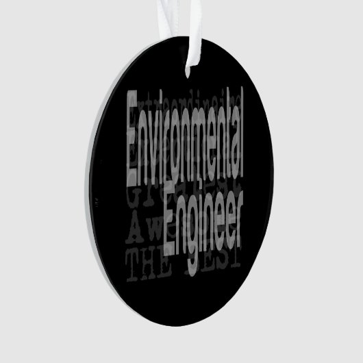 Environmental Engineer Extraordinaire Ornament (voorkant)