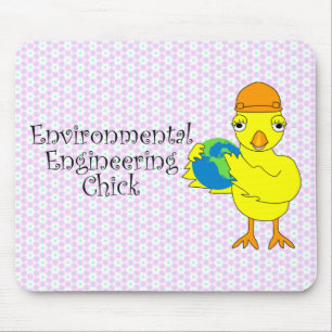 Environmental Engineering Chick Muismat