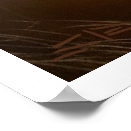 Environmental Impact matte value poster (Hoek)